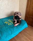 Анкета проститутки Зоя - метро Мещанский, возраст - 30